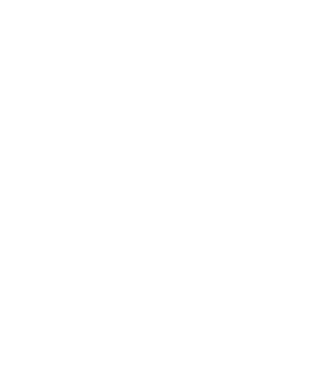 nespe logo